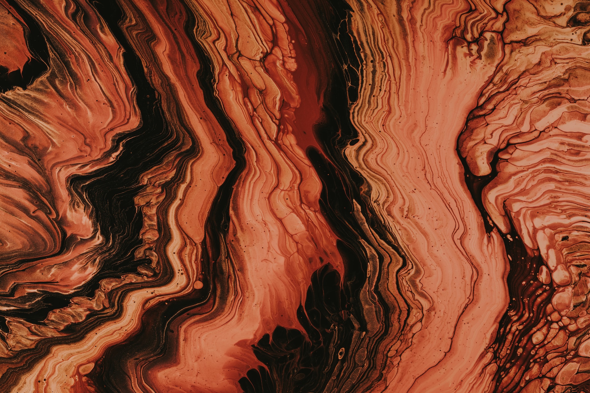 pawel-czerwinski-fmIukY9HMQw-unsplash